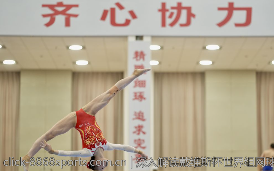 深入解读戴维斯杯世界组网球团体赛的历史与发展轨迹